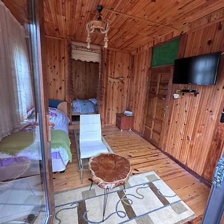Dervisoglu Dag Evi 2*