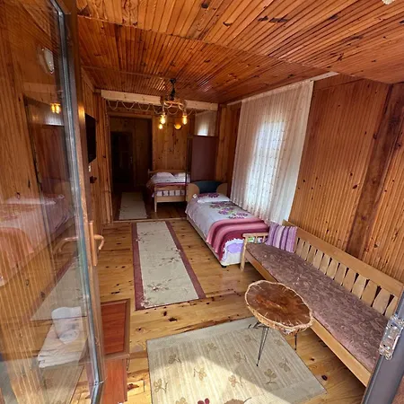 Dervisoglu Dag Evi 2* Camlihemsin